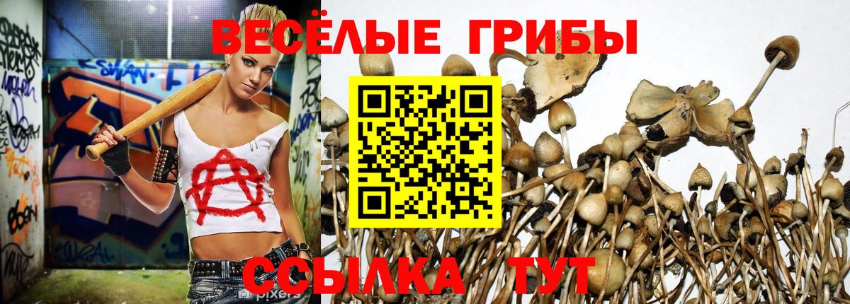 Галлюциногенные грибы GOLDEN TEACHER Похвистнево
